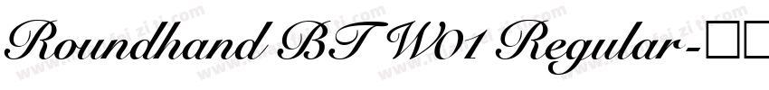 Roundhand BT W01 Regular字体转换